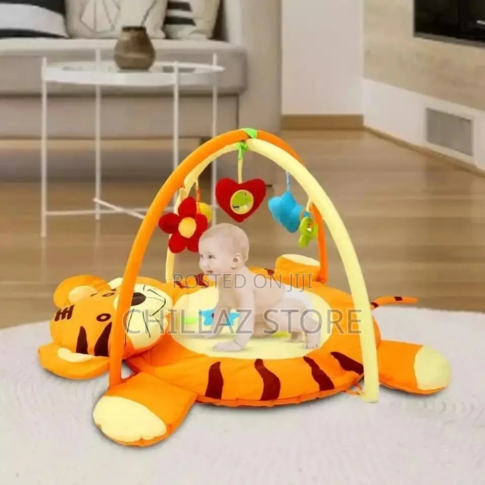 Baby Play Gym
