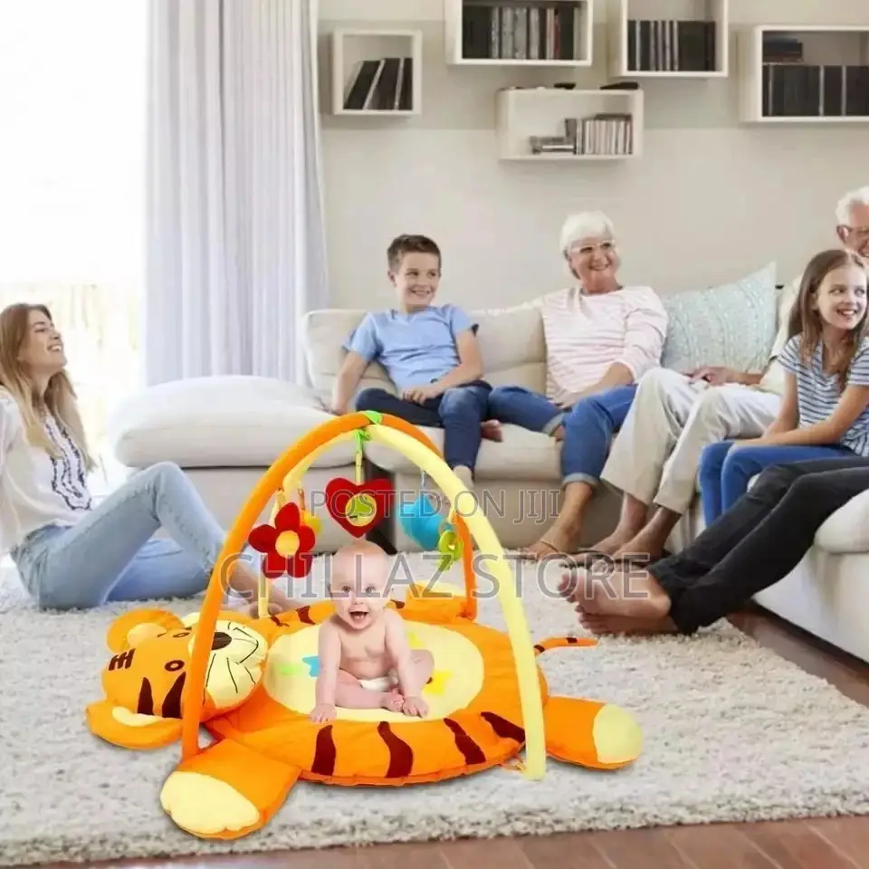 Baby Play Gym