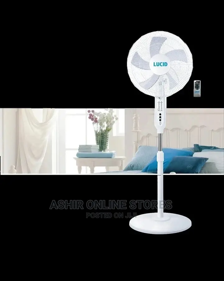 Floor Fan for Lucid