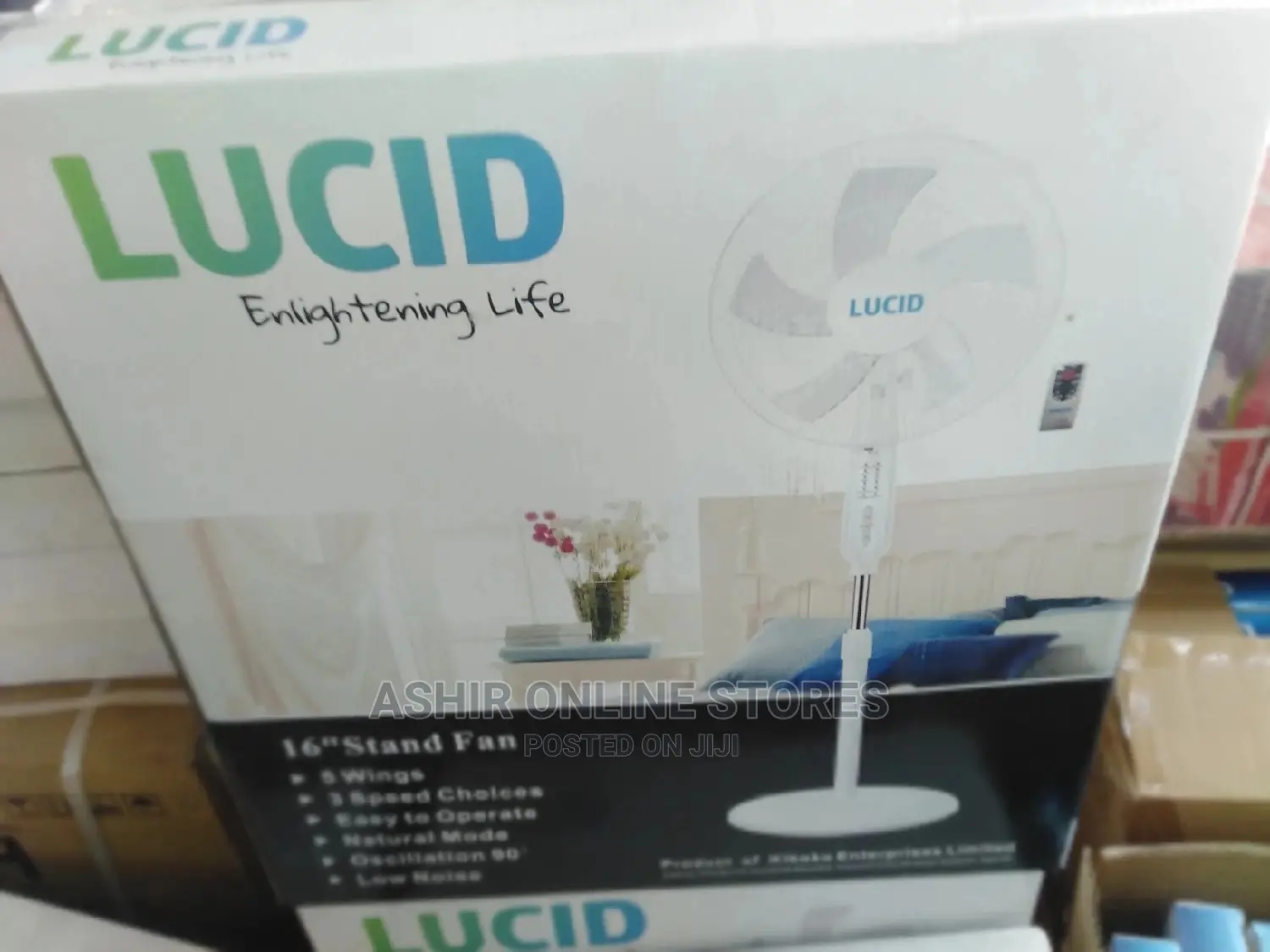 Floor Fan for Lucid