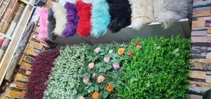 Hairy Cushions