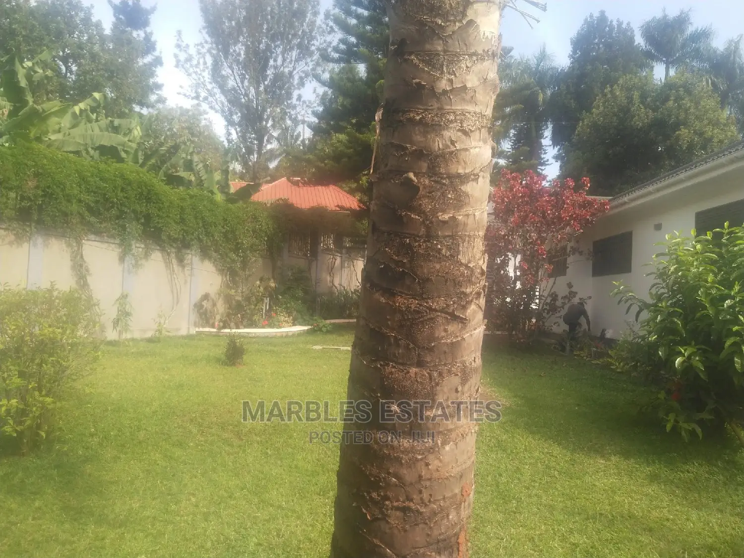 4bdrm Bungalow in Mbuya, Central Division for Rent