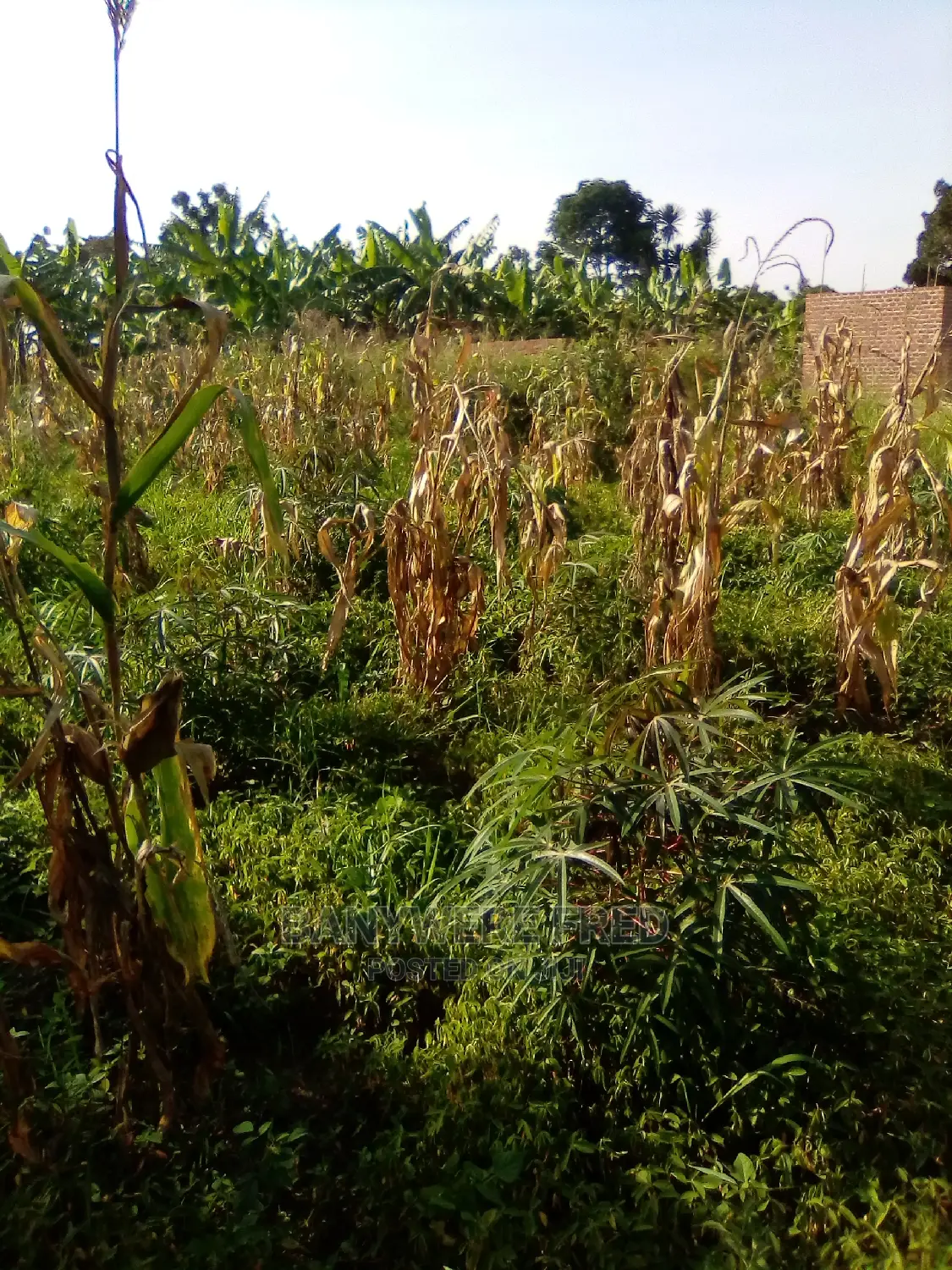 50/100 Plot for Sale in Dudu