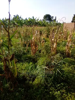 50/100 Plot for Sale in Dudu