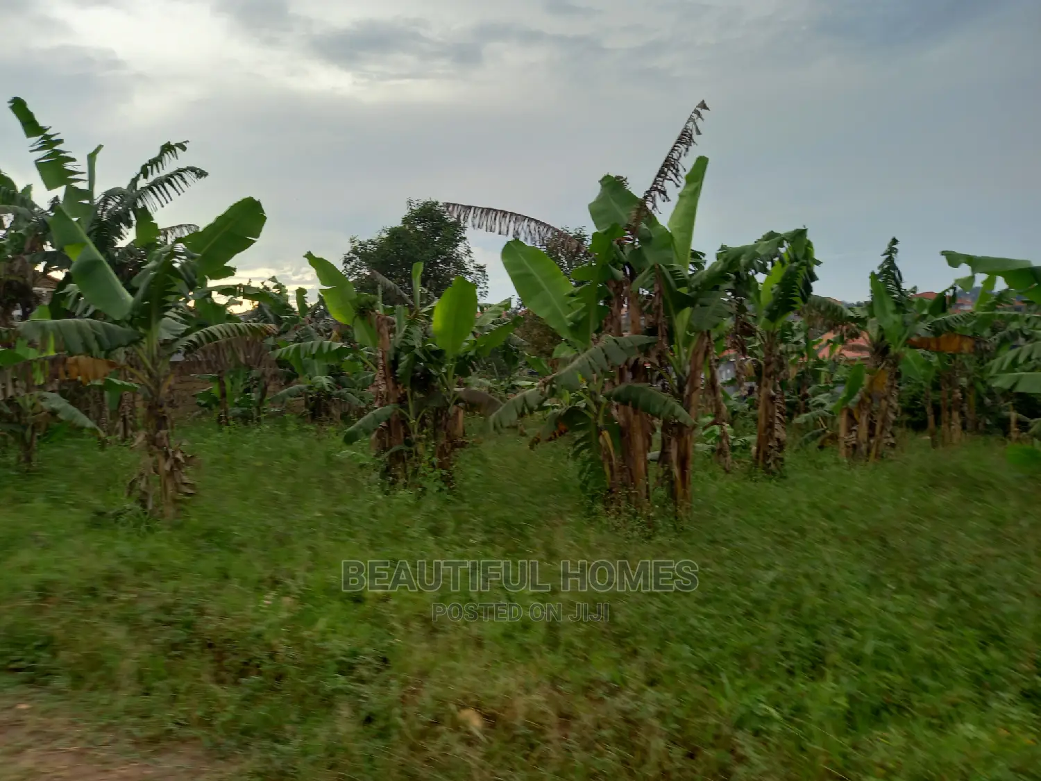 25 Decimals at Kasangati on Sell