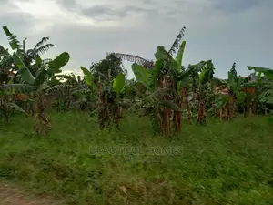 25 Decimals at Kasangati on Sell
