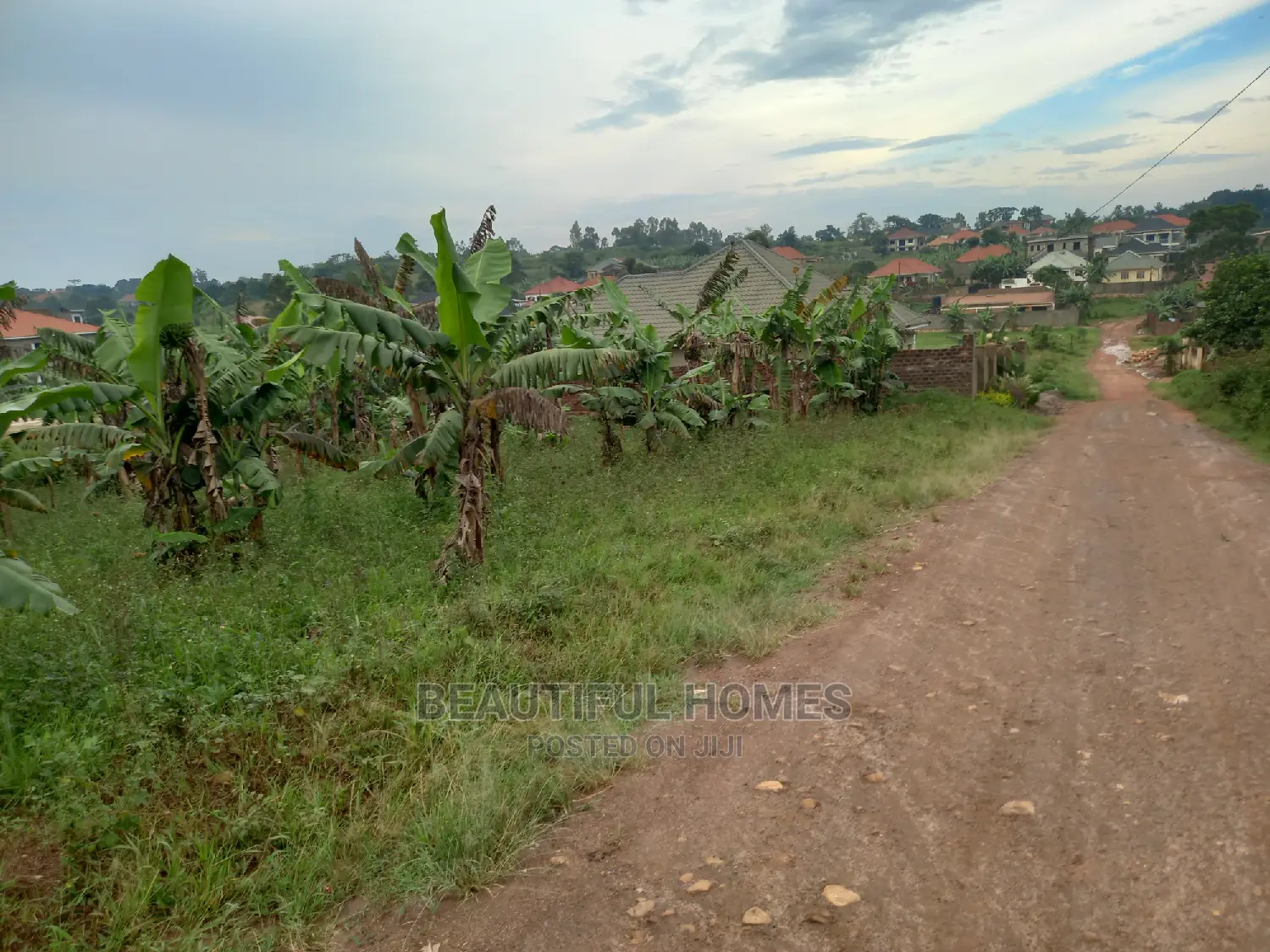 Kasangati 100*100 on Sale