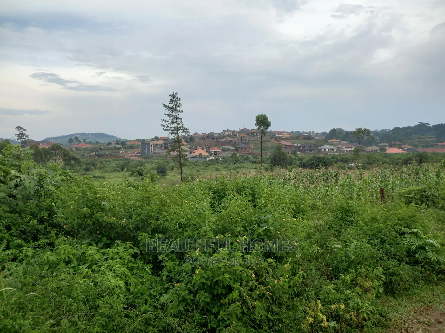 100*100 Prime Plot in Kasangati on Sell
