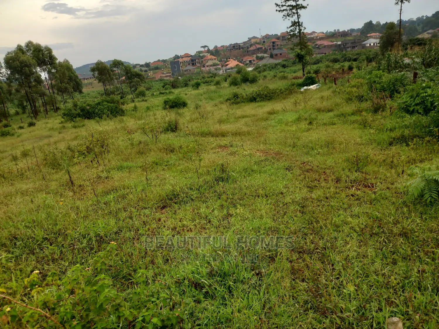 25 Decimals in Kasangati Posh Estate on Sale