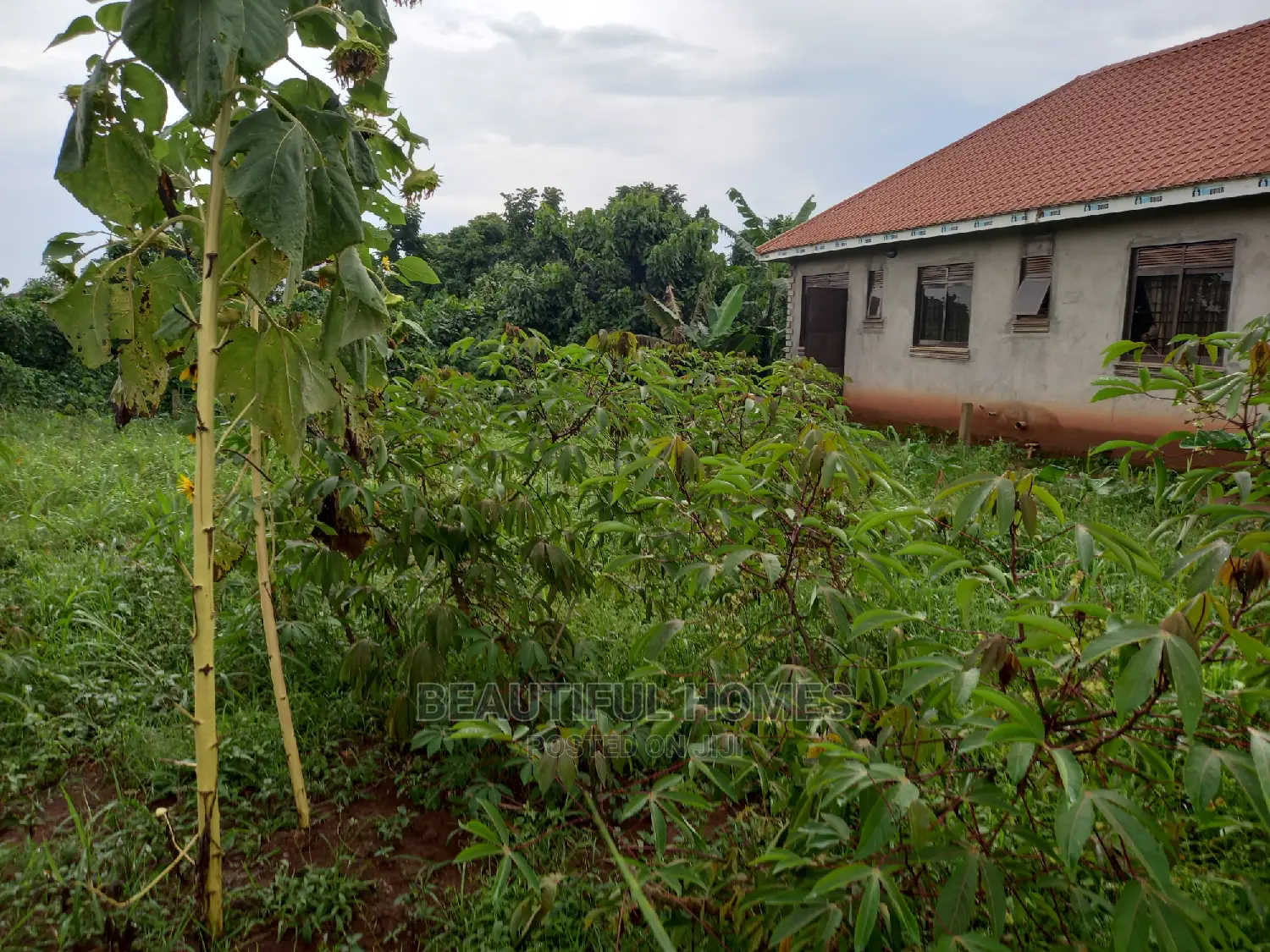 Kasangati 100*100 in Gated Neighborhood on Sell