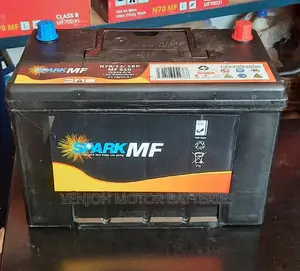 N70 Maintenence Free Spark Car Battery