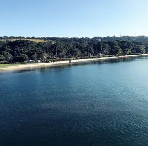 Boat Cruise, Islands Game Park Visits, Tours Travel.