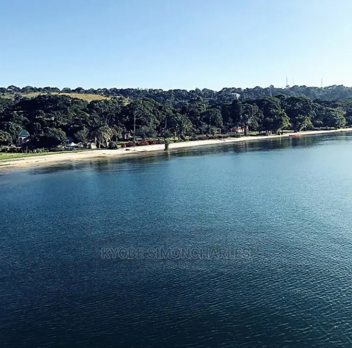 Boat Cruise, Islands Game Park Visits, Tours Travel.