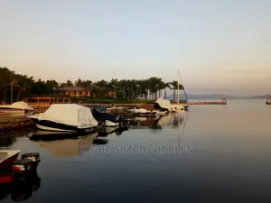 Boat Cruise, Islands Game Park Visits, Tours Travel.
