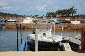Boat Cruise, Islands Game Park Visits, Tours Travel.