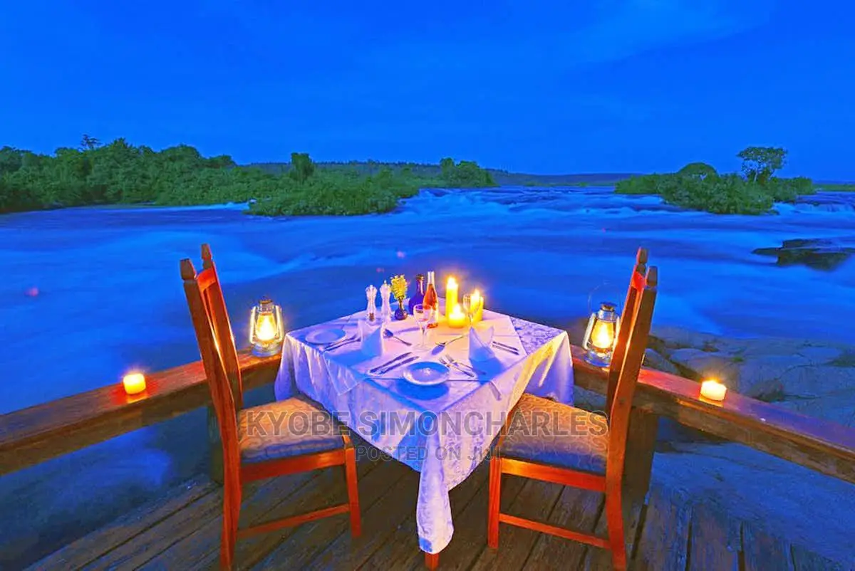 Boat Cruise, Islands Game Park Visits, Tours Travel.