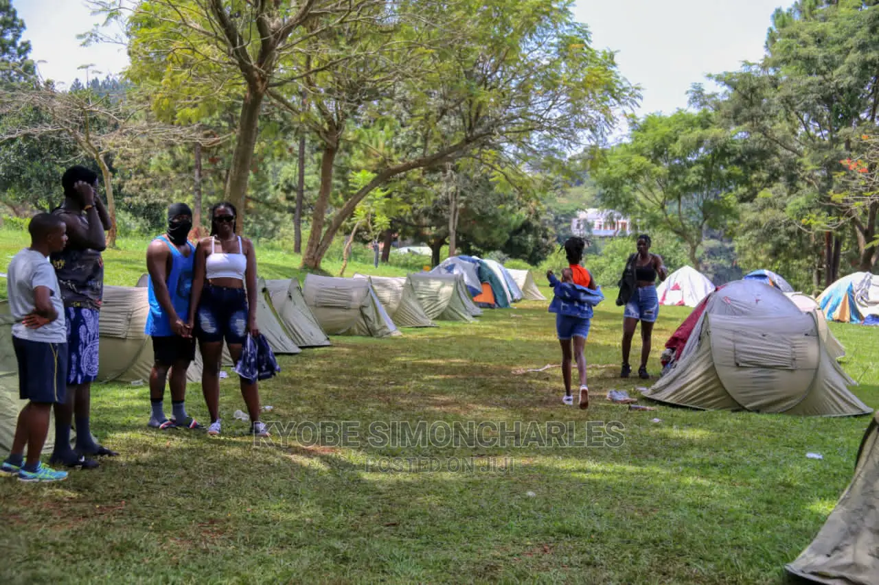 Boat Cruise, Islands Game Park Visits, Tours Travel.