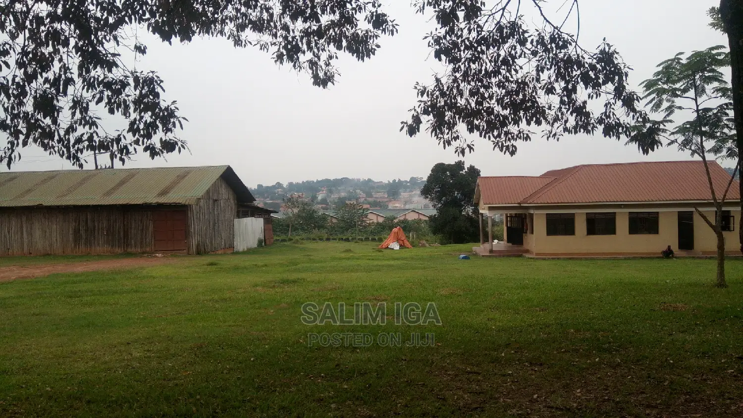 Spacious Land