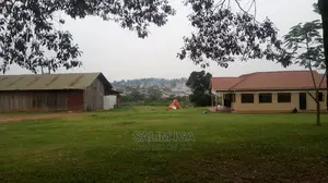 Spacious Land