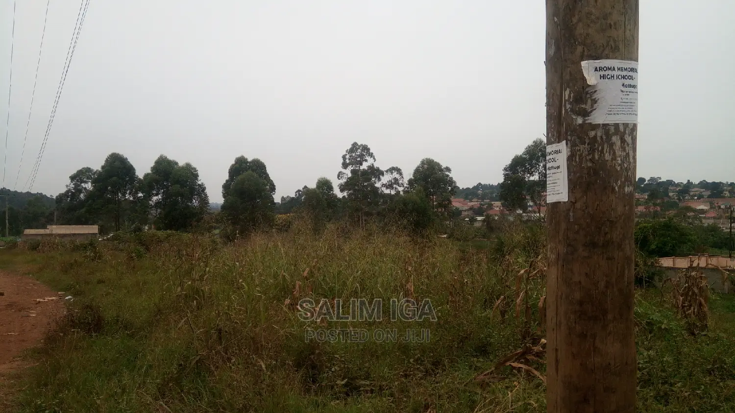 Spacious Land