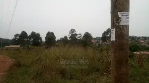 Spacious Land