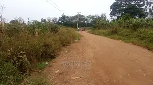 Spacious Land