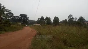 Spacious Land