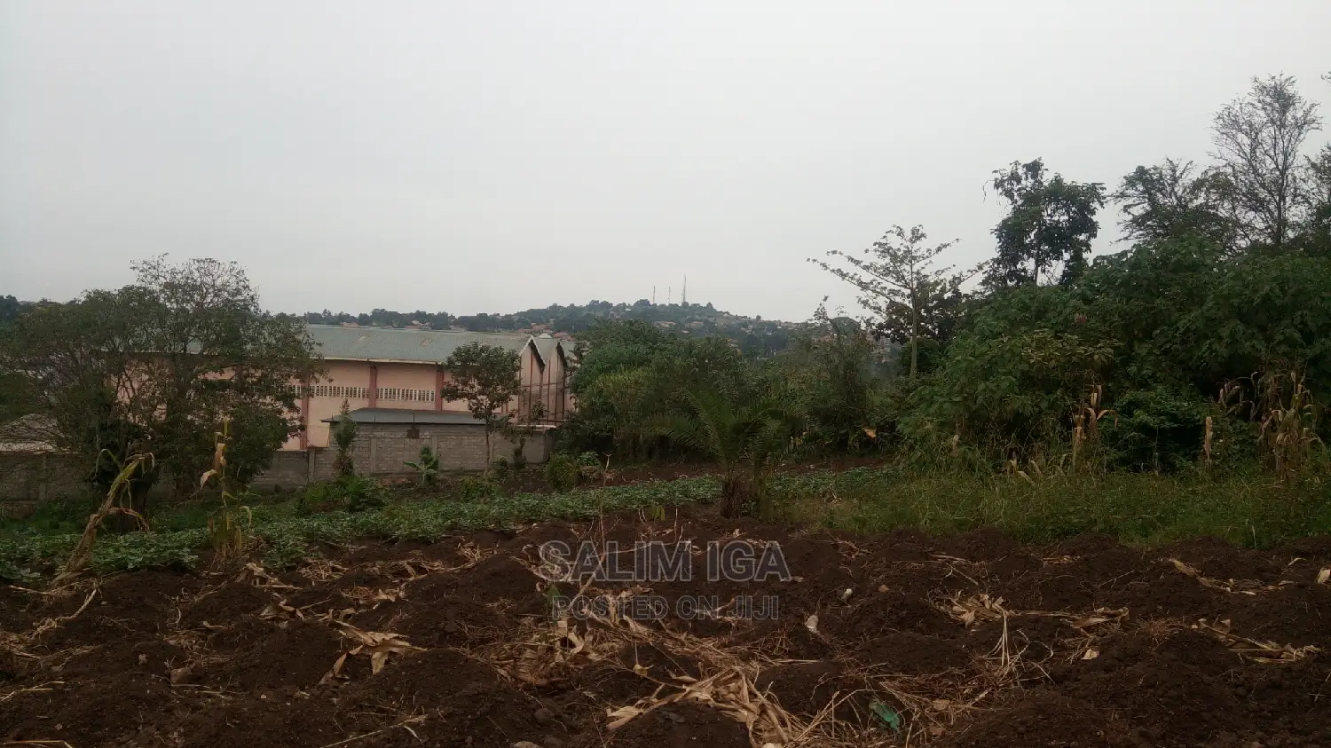 Spacious Land