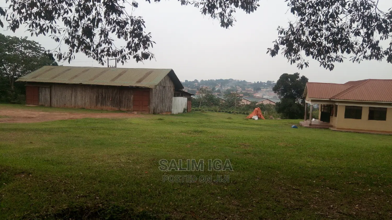 Spacious Land
