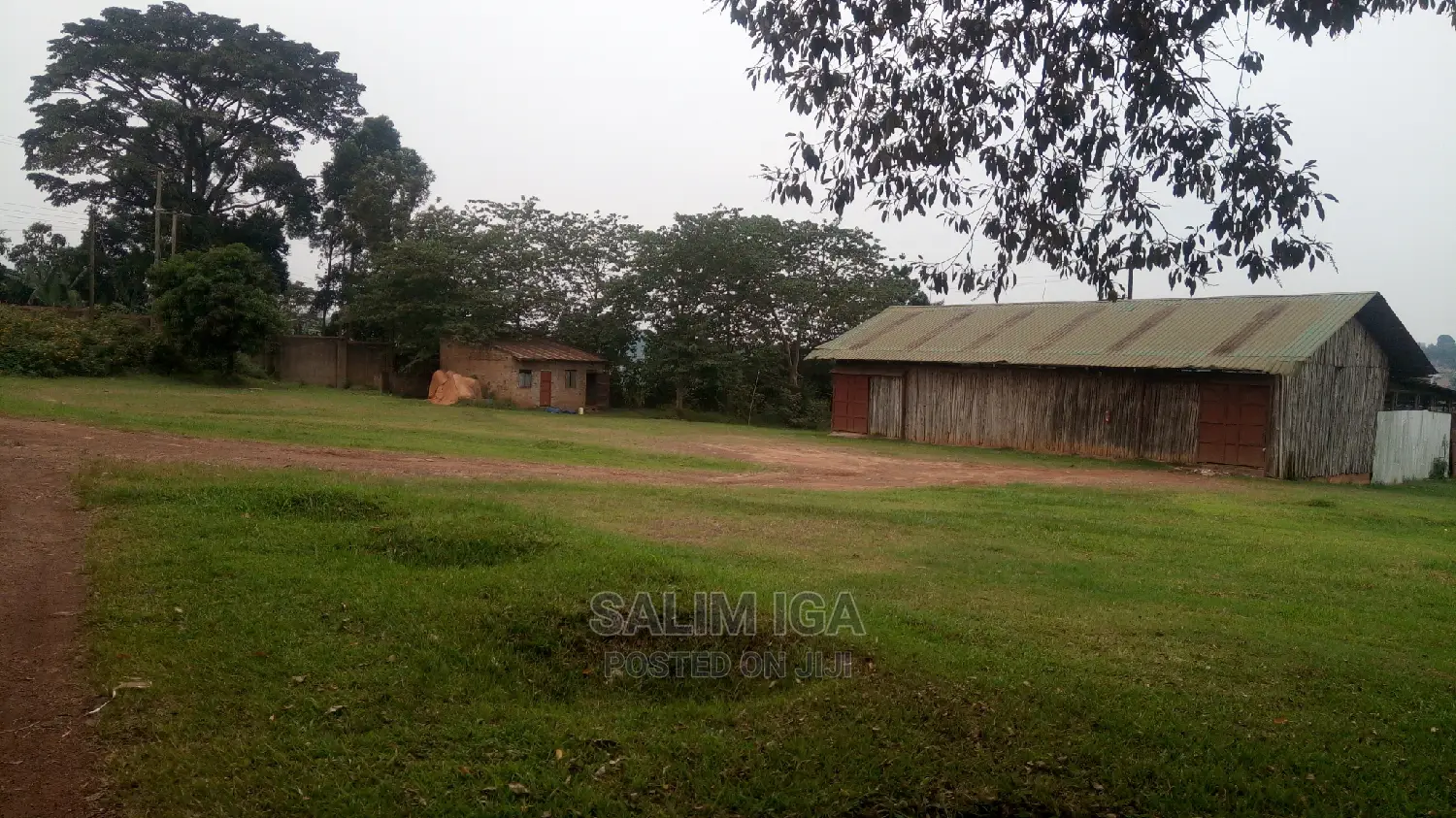 Spacious Land