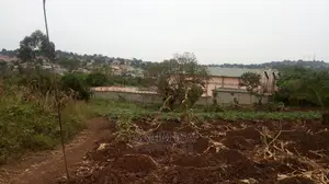 Photo - Spacious Land