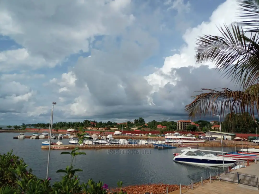 Boat Cruise, Islands Game Park Visits, Tours Travel.
