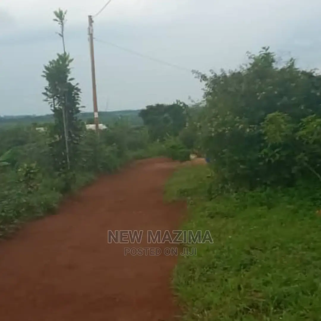 Kasanje Titled Plot on Forced Sale Power and Water on Site