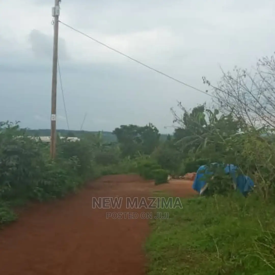 Kasanje Titled Plot on Forced Sale Power and Water on Site