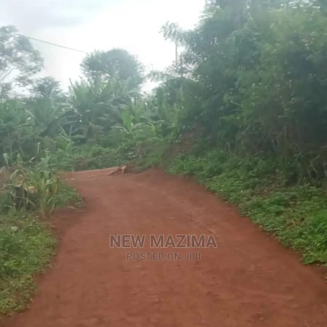 Kasanje Titled Plot on Forced Sale Power and Water on Site