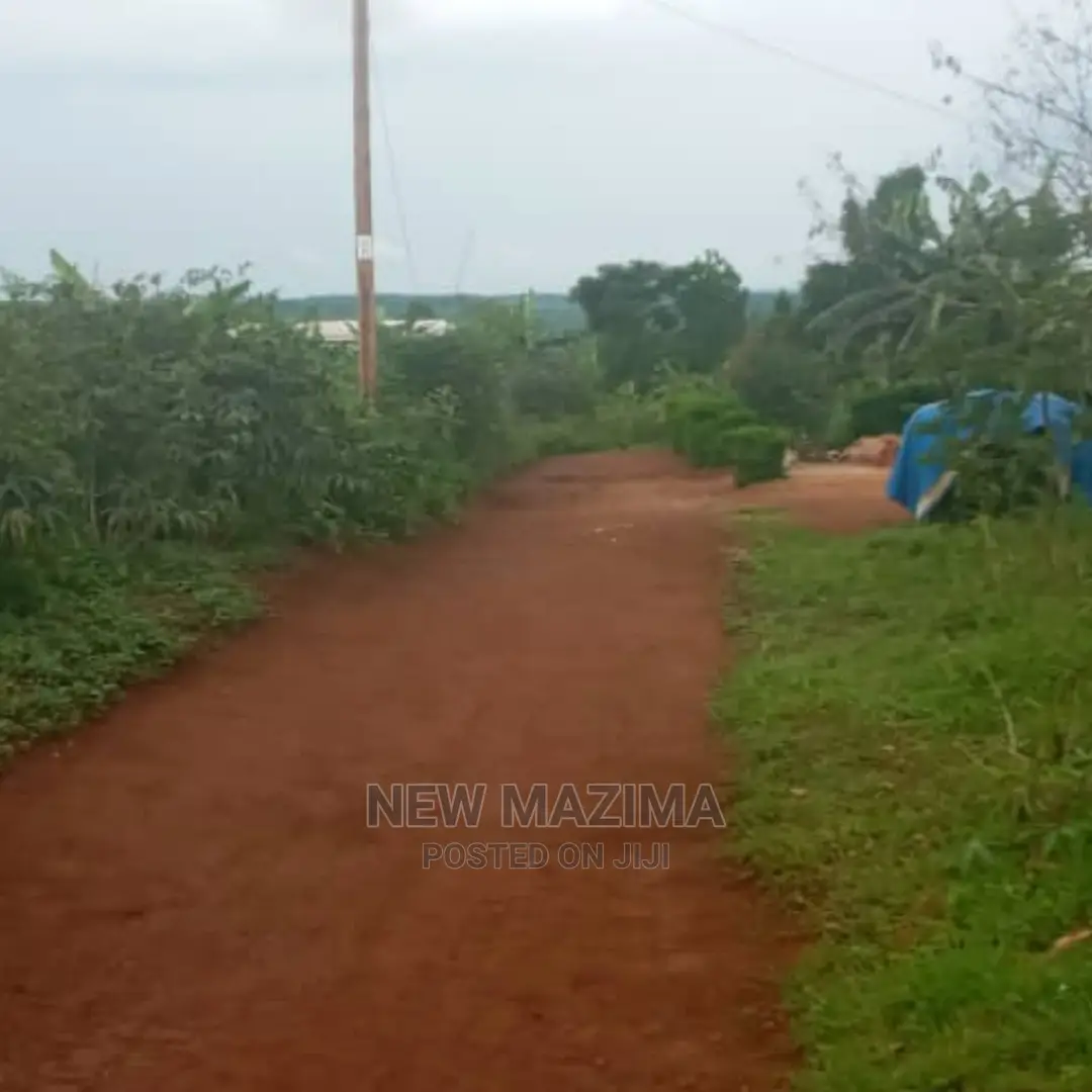 Kasanje Titled Plot on Forced Sale Power and Water on Site