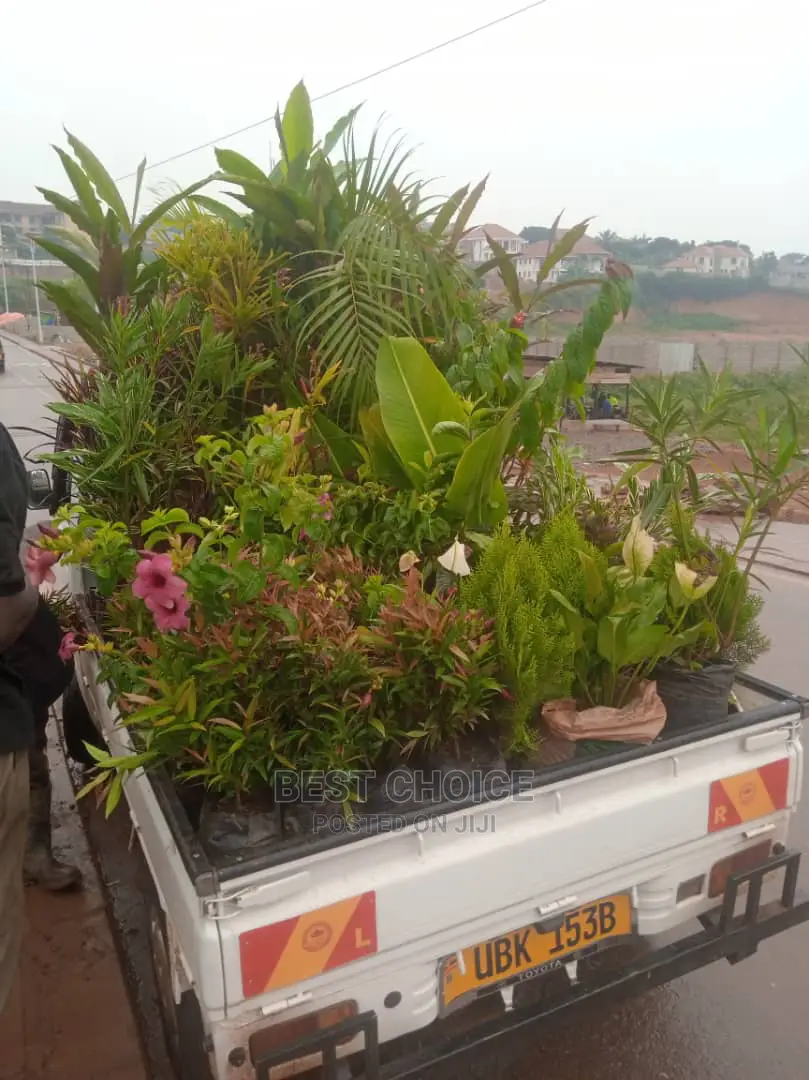 Fully Stocked Flowers and Plants and the Best Gardeners