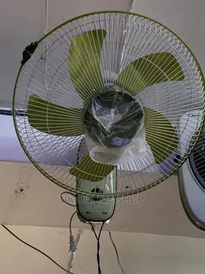 Wall Mounted Fat