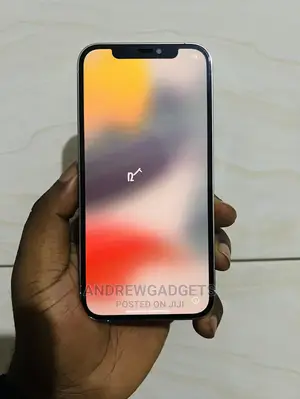 Apple iPhone 12 Pro 256 GB Silver