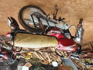 Bajaj Pulsar NS 160 2019 Red