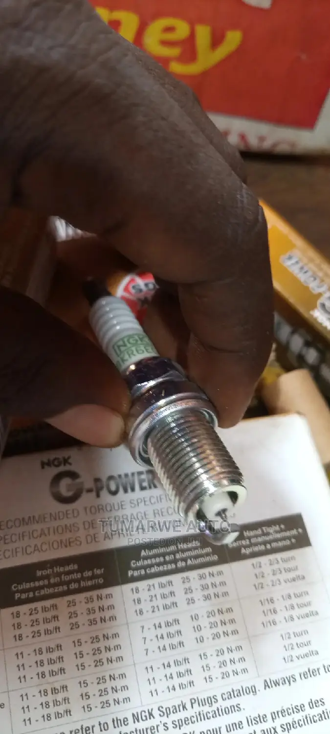 Car Plugs(2)