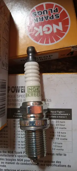 Car Plugs(2)