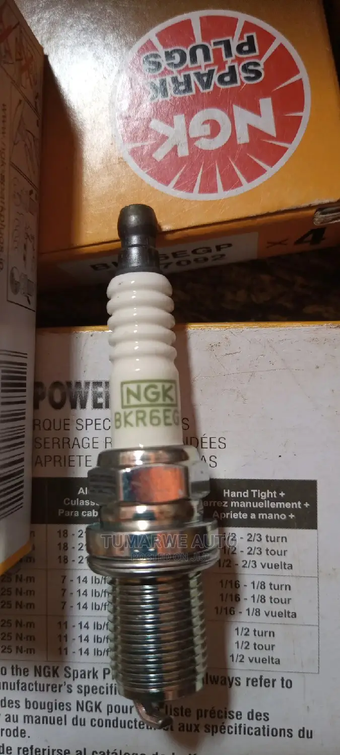Car Plugs(2)