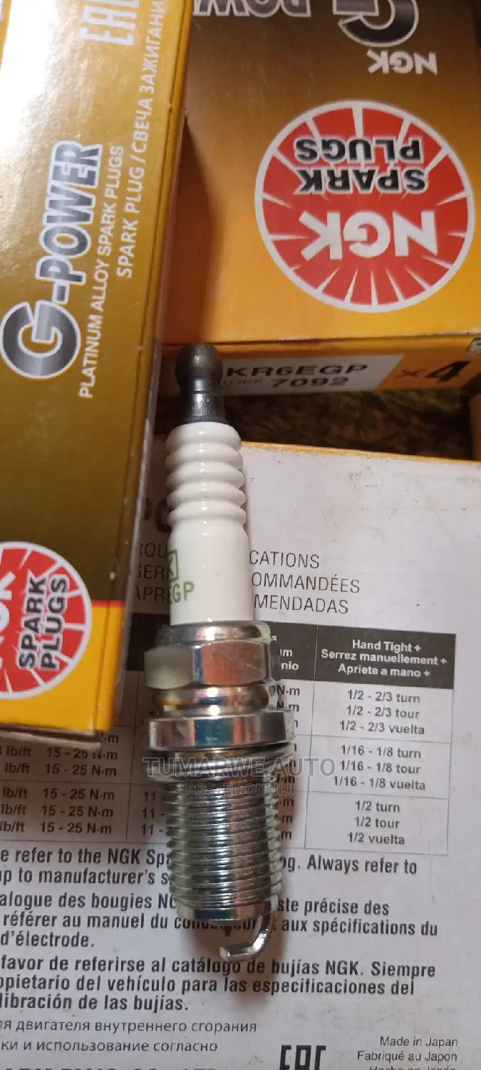 Car Plugs(2)