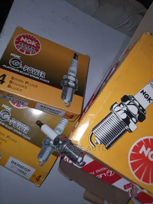Original Spark Plugs(3)