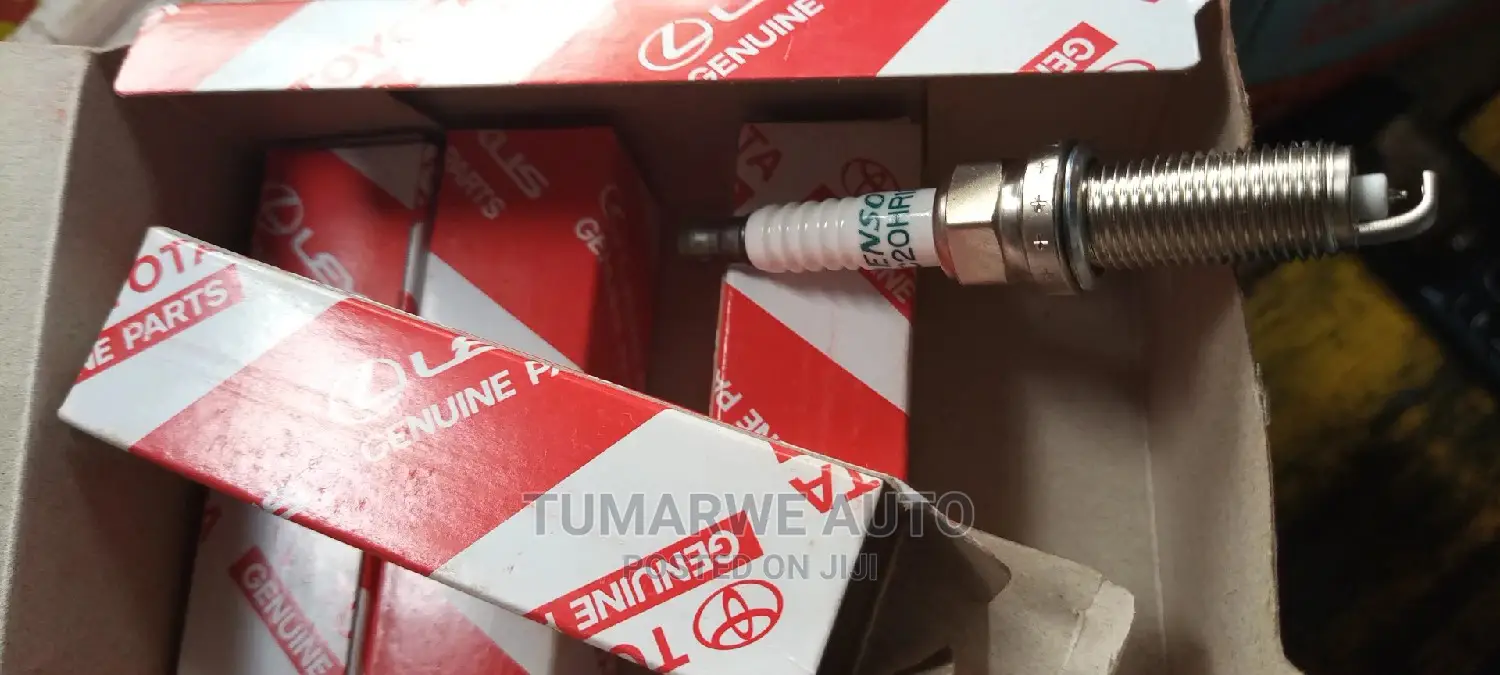 Spark Plugs (3)