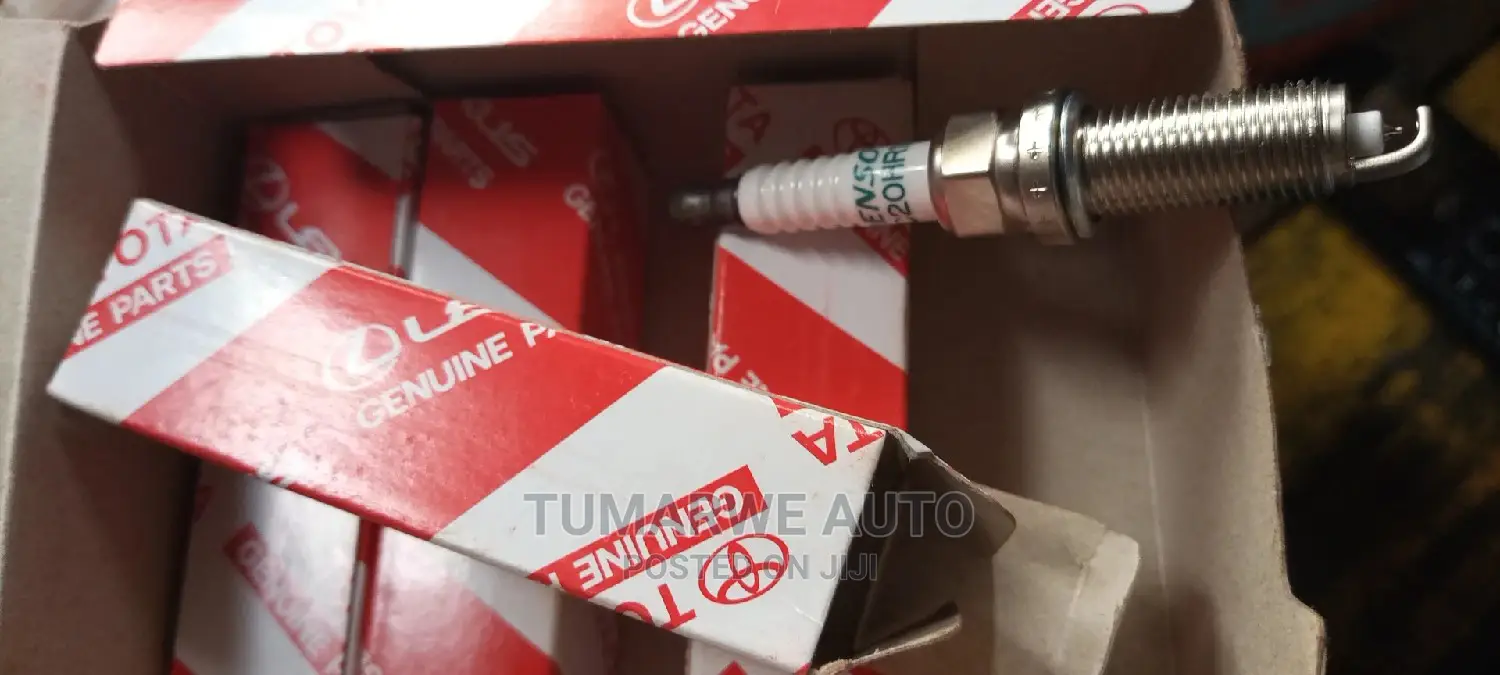Spark Plugs (3)