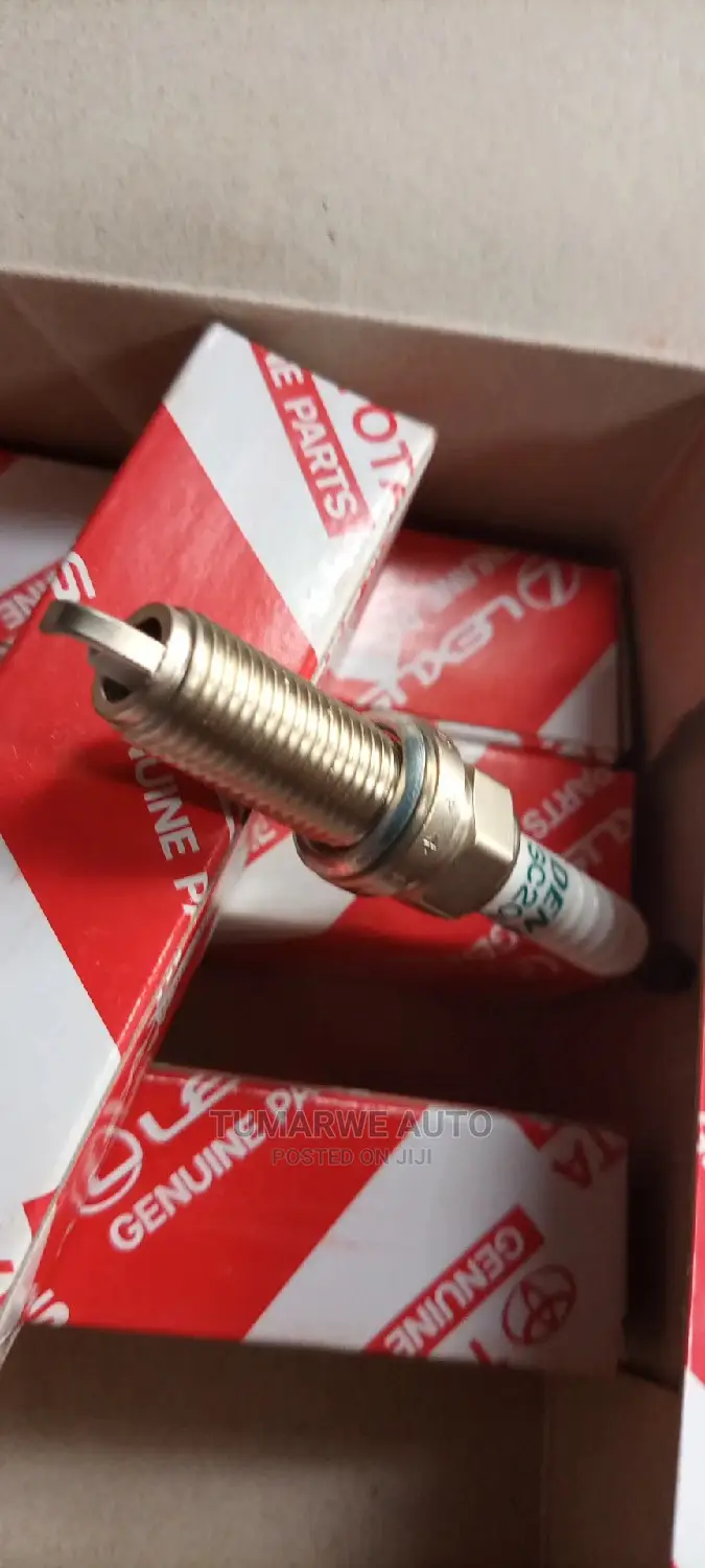 Spark Plugs (3)