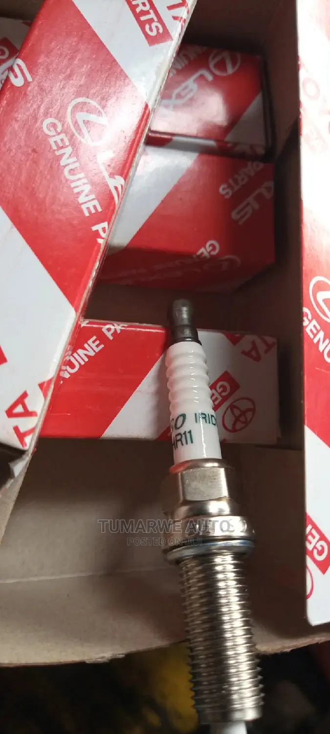 Spark Plugs (3)
