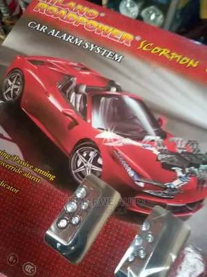 Car Alarm(1)